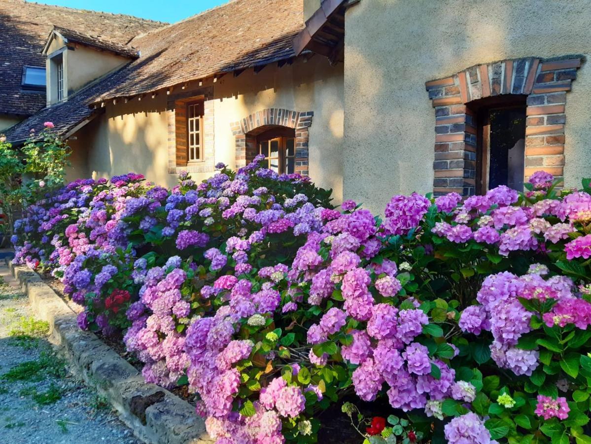 Chambres D'Hotes Domaine De La Jonquiere, Bouloire 외부 사진
